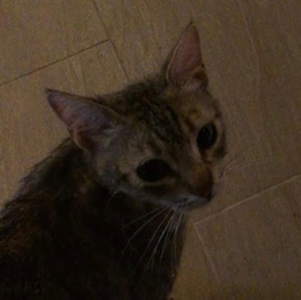 Meet your Posher, Joanna